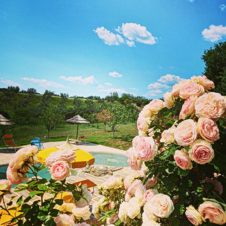 Angolo Di Paradiso ฟอร์เมลโล ภายนอก รูปภาพ