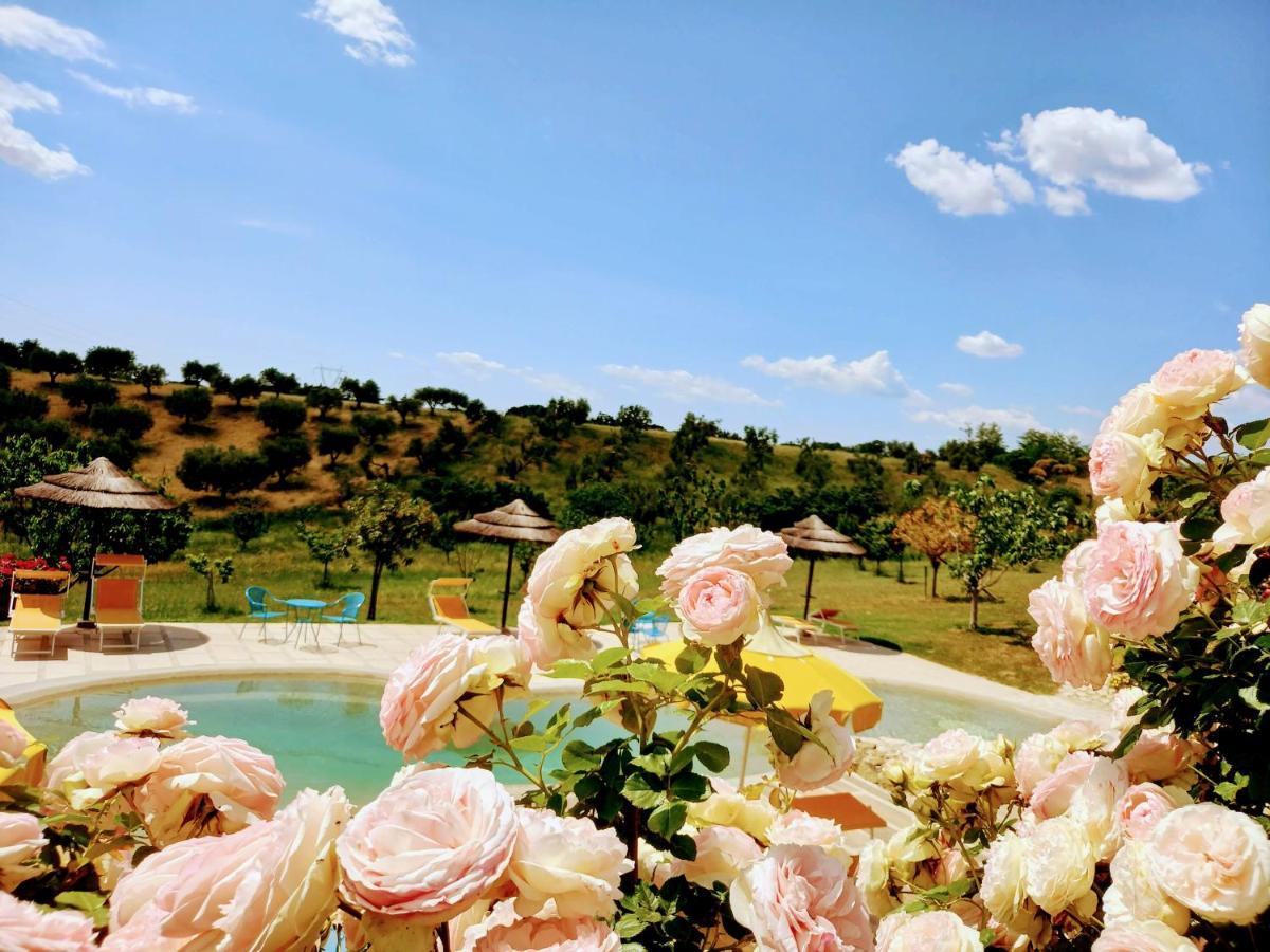 Angolo Di Paradiso ฟอร์เมลโล ภายนอก รูปภาพ