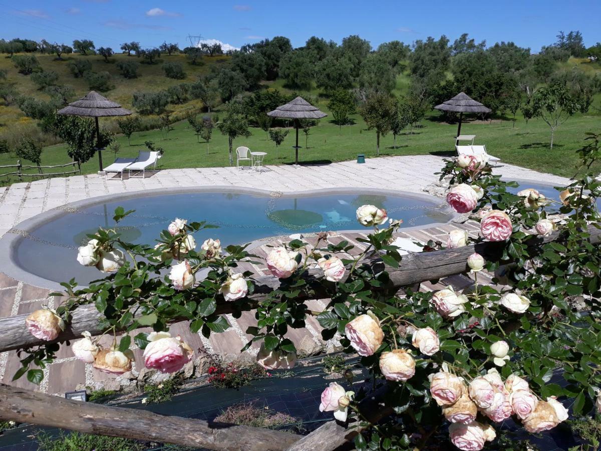 Angolo Di Paradiso ฟอร์เมลโล ภายนอก รูปภาพ