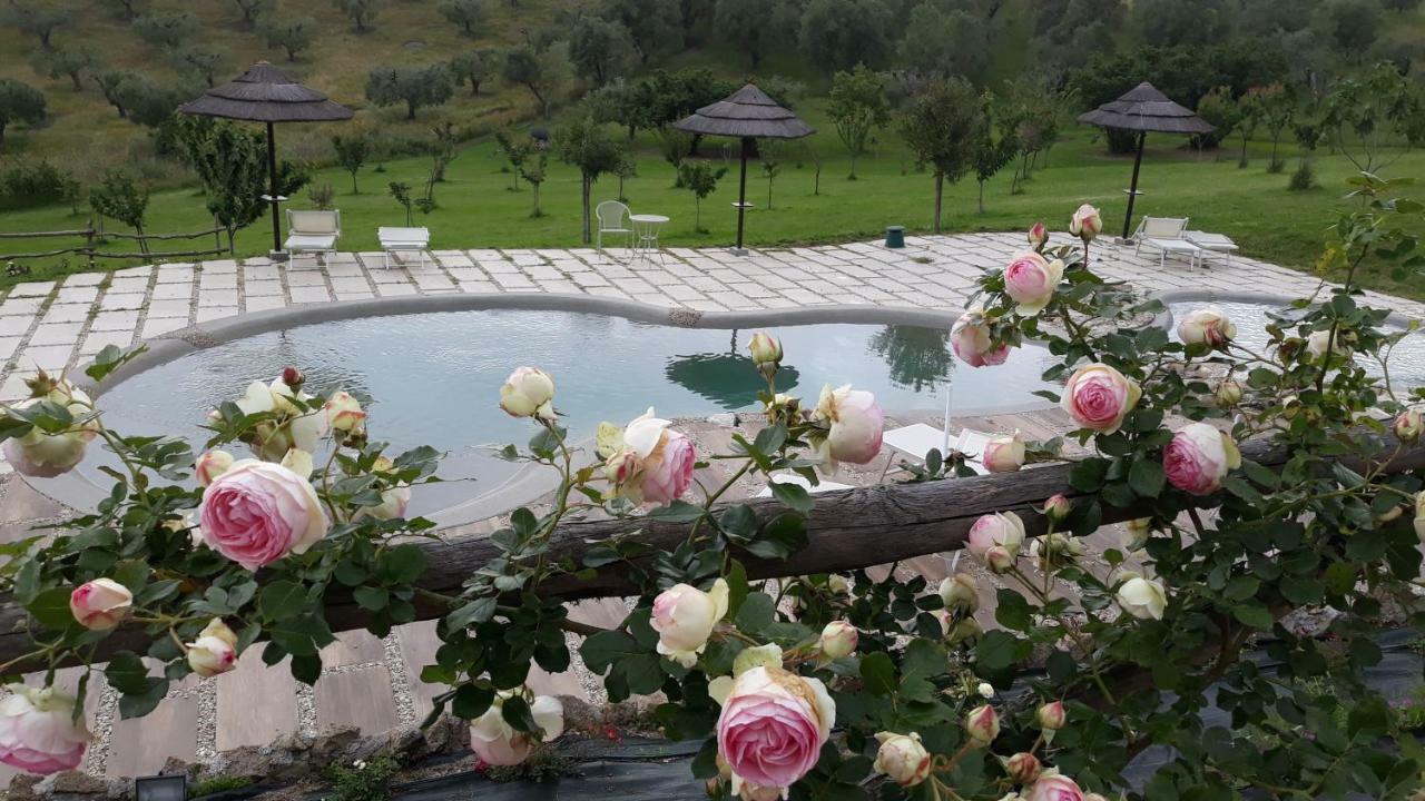Angolo Di Paradiso ฟอร์เมลโล ภายนอก รูปภาพ